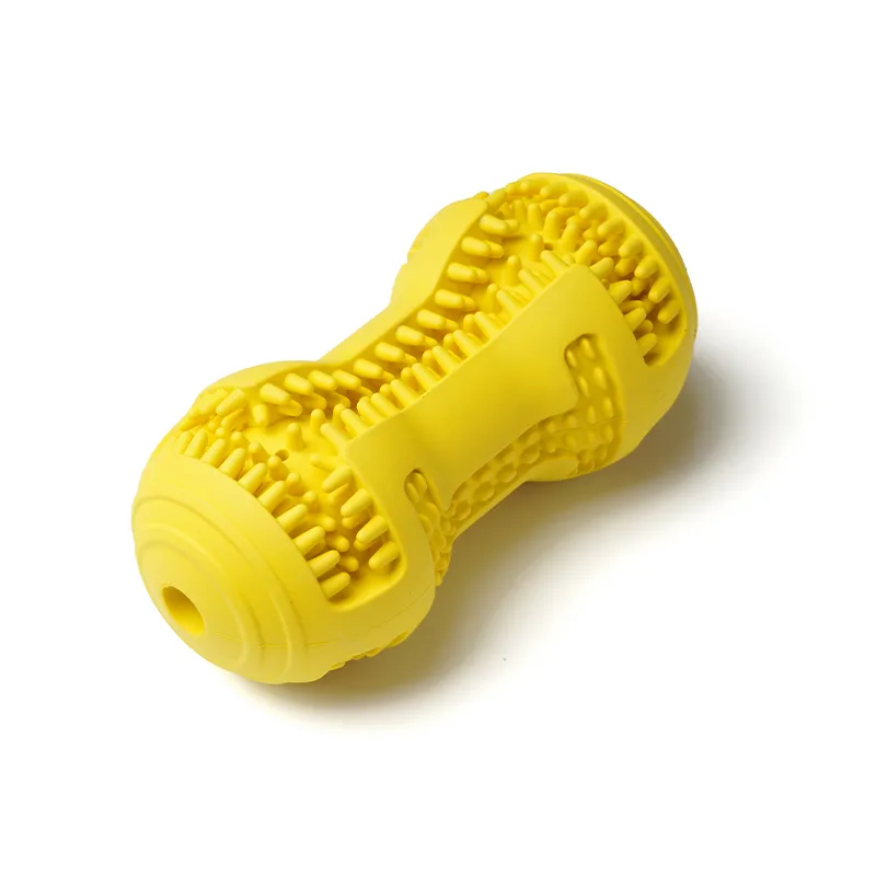 Zahnhammer