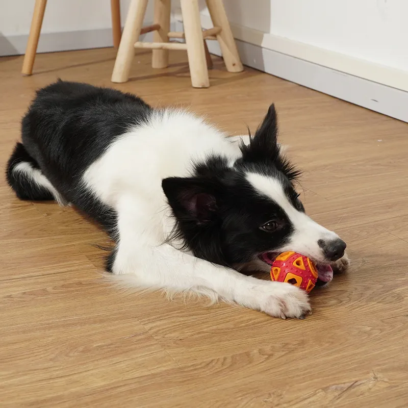 Hundespielzeug interaktiver Bewegungstraining Ball